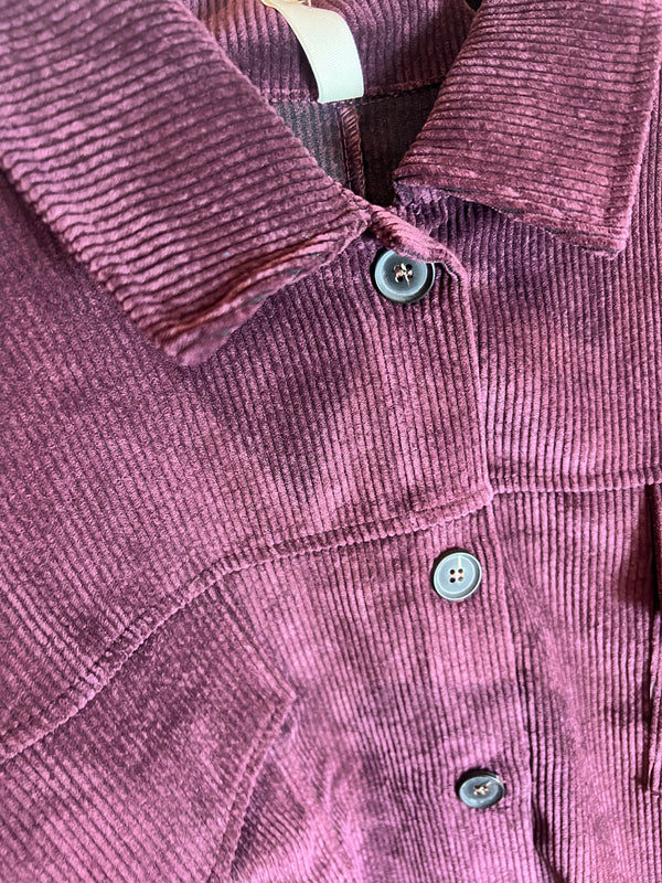 Blouson velours prune